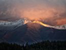 Twizel